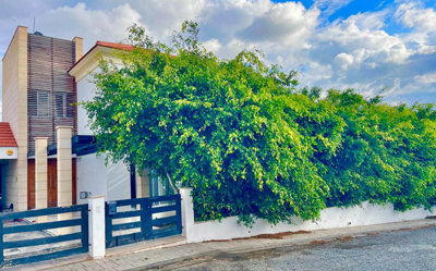 sea-view-villa-for-sale-paphos-coral-bay-cypr