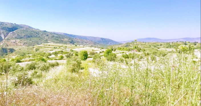 Image No.4-4 Bed House for sale