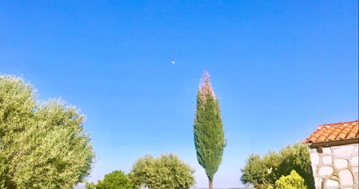 Image No.20-Maison de 2 chambres à vendre à Paphos