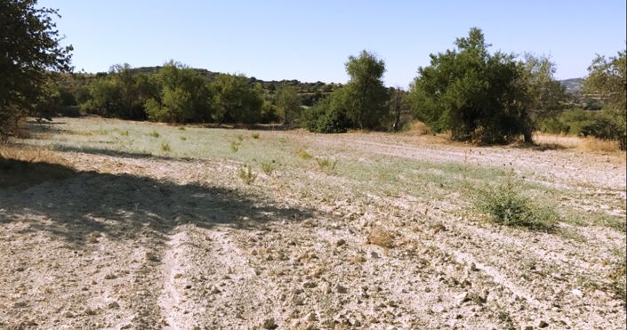 Image No.2-Land for sale