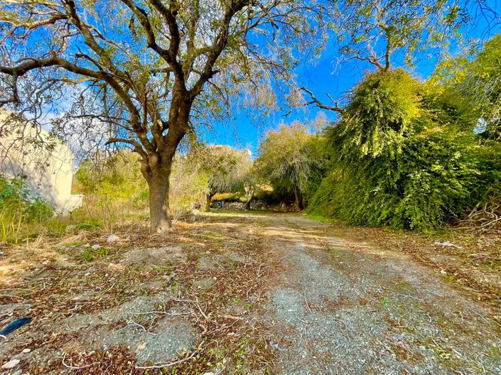 Image No.2-Terre de 1 chambre à vendre à Paphos