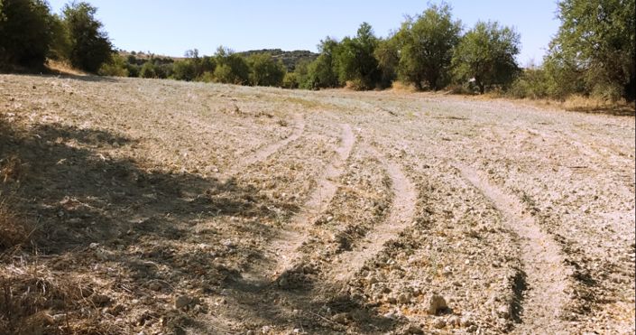 Image No.5-Land for sale