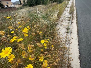 residential-plot-of-land-for-sale-paphos-cypr