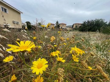 residential-plot-of-land-for-sale-paphos-cypr