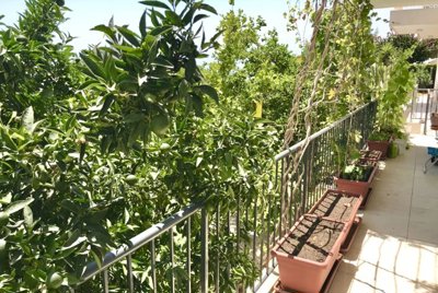 house-property-for-sale-paphos-cyprus10-1