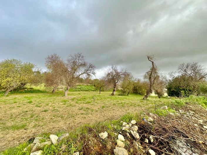 Image No.2-Land for sale