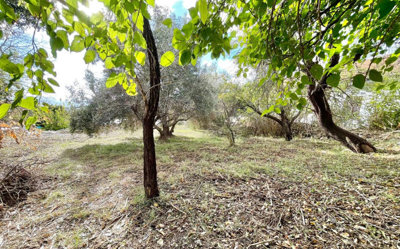 10exteriorstone-house-for-sale-paphos-cyprus