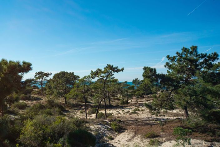 Image No.27-Propriété de 3 chambres à vendre à Grândola