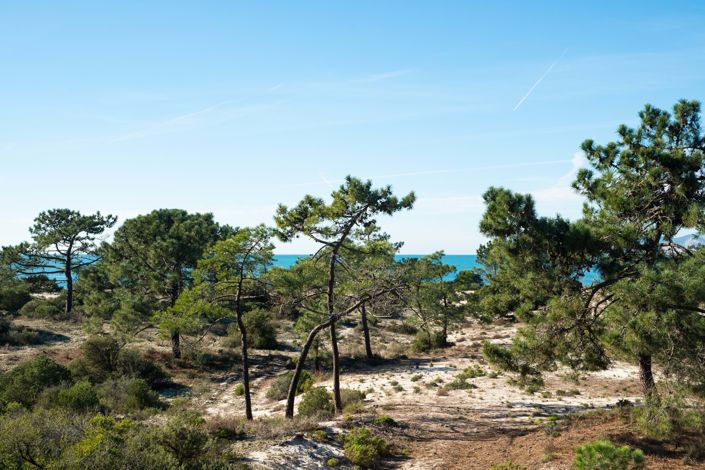 Image No.34-3 Bed Property for sale