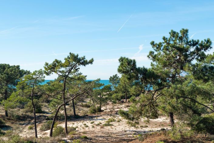 Image No.35-3 Bed Property for sale