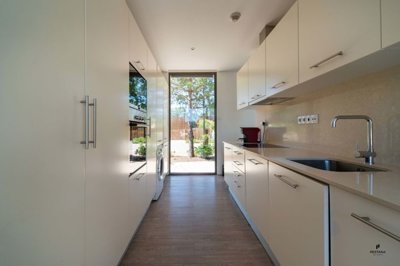 82-650058-4d2cf3ac511d6ad9782a31c6f19f3737364