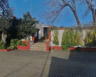 4785242-4