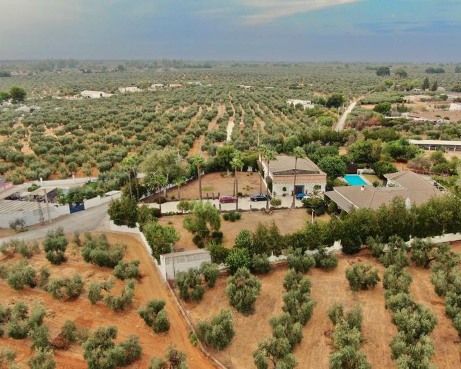 Image No.1-Propriété de 6 chambres à vendre à Utrera