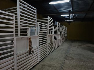 47735241-9