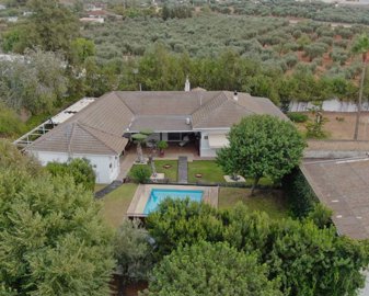 Another Way Of Life most sold property