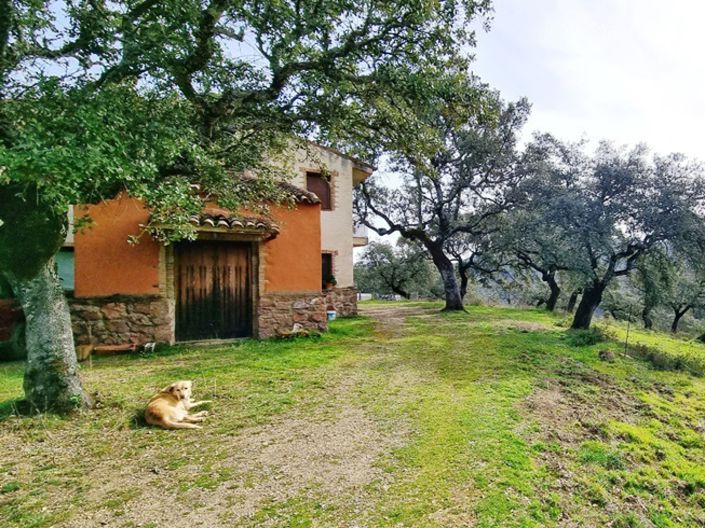 Image No.3-6 Bed Property for sale