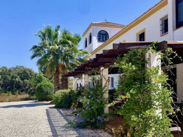 Another Way Of Life most sold property