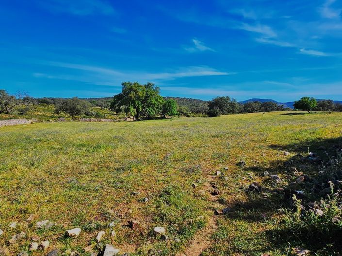 Image No.27-4 Bed Property for sale