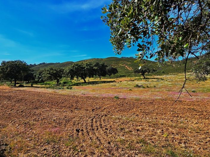 Image No.30-4 Bed Property for sale