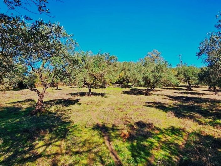 Image No.20-Propriété de 4 chambres à vendre à Aracena