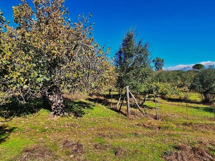 Image No.21-Propriété de 4 chambres à vendre à Aracena