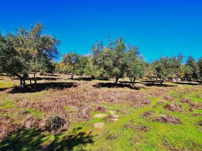 Image No.22-Propriété de 4 chambres à vendre à Aracena