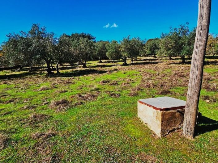 Image No.23-Propriété de 4 chambres à vendre à Aracena