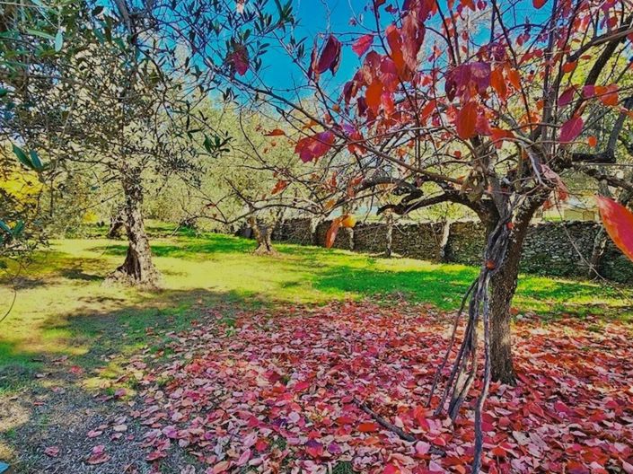 Image No.24-Propriété de 4 chambres à vendre à Aracena