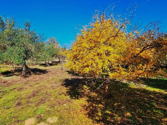 Image No.26-Propriété de 4 chambres à vendre à Aracena