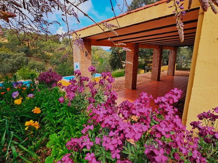 Image No.4-Propriété de 5 chambres à vendre à Cortegana