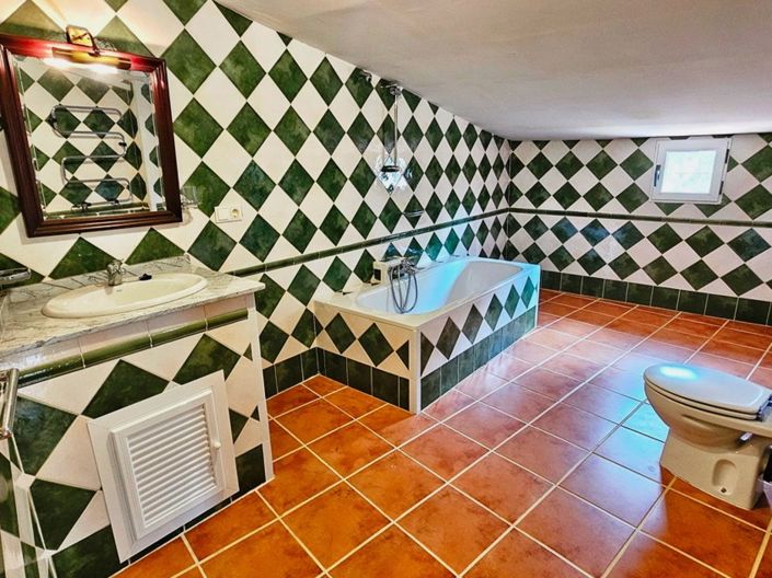 Image No.40-Propriété de 5 chambres à vendre à Cortegana