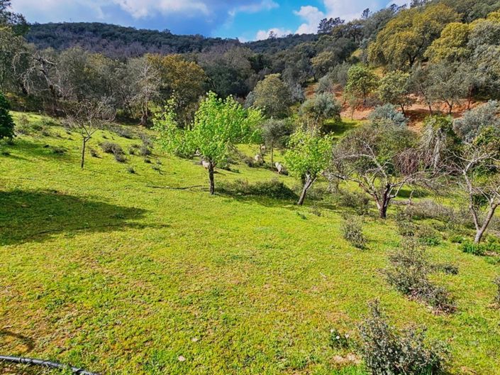 Image No.45-Propriété de 5 chambres à vendre à Cortegana