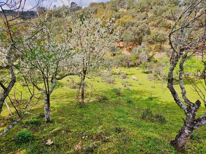 Image No.46-Propriété de 5 chambres à vendre à Cortegana