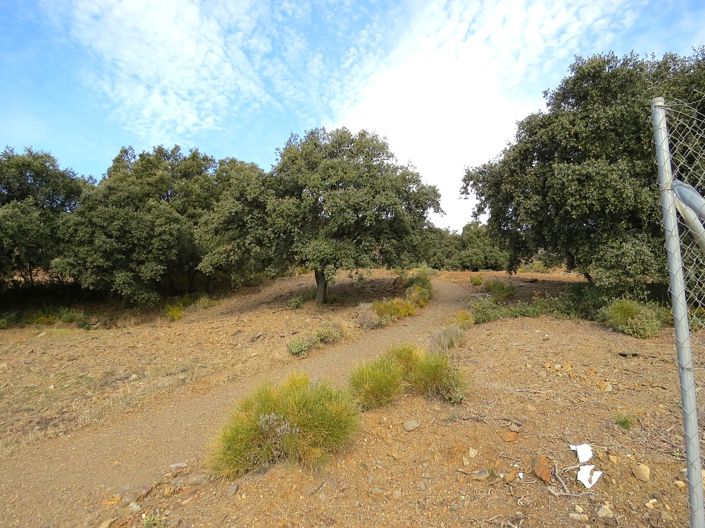 Image No.45-Propriété de 5 chambres à vendre à Laroles