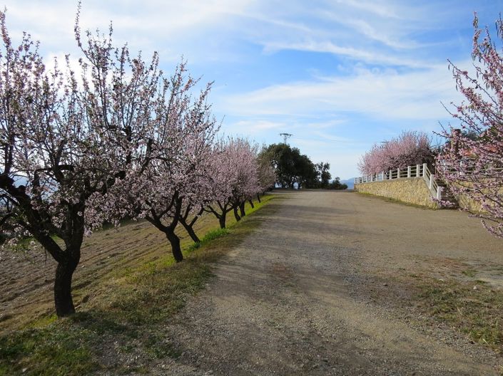 Image No.7-Propriété de 5 chambres à vendre à Laroles