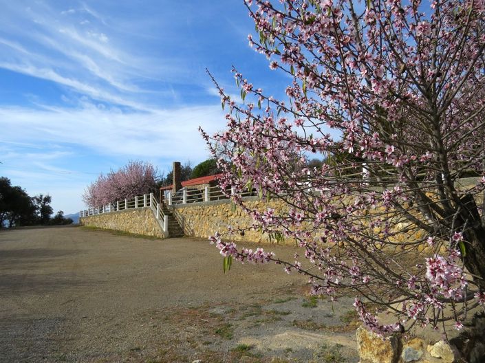 Image No.8-Propriété de 5 chambres à vendre à Laroles