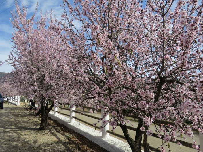 Image No.9-Propriété de 5 chambres à vendre à Laroles