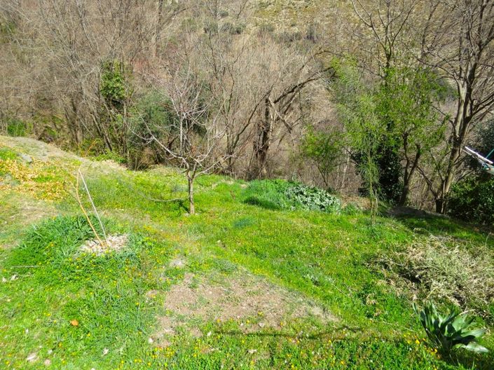 Image No.25-Propriété de 3 chambres à vendre à Bérchules