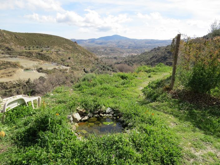 Image No.38-Propriété de 3 chambres à vendre à Bérchules
