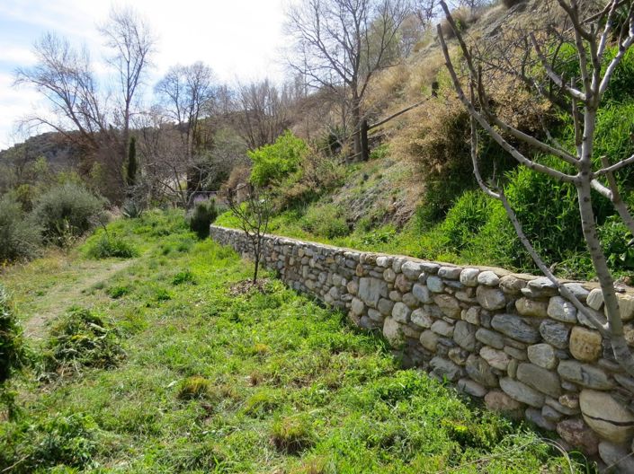 Image No.40-Propriété de 3 chambres à vendre à Bérchules