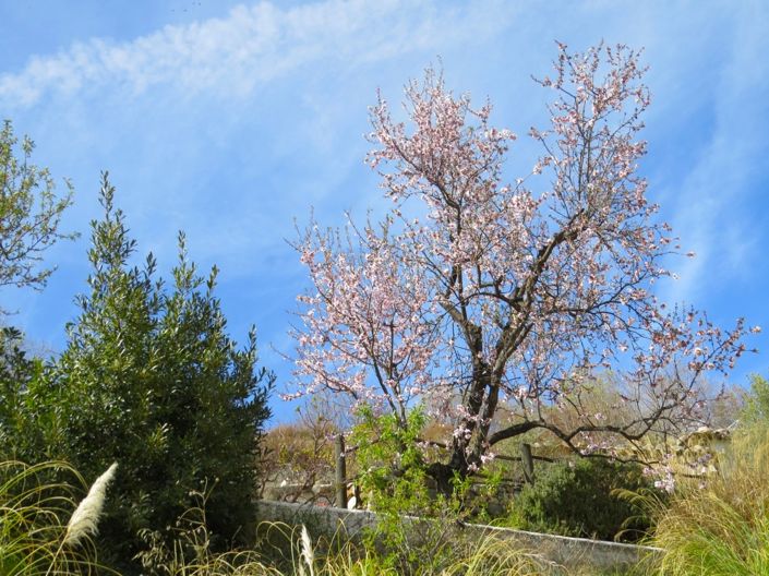 Image No.41-Propriété de 3 chambres à vendre à Bérchules