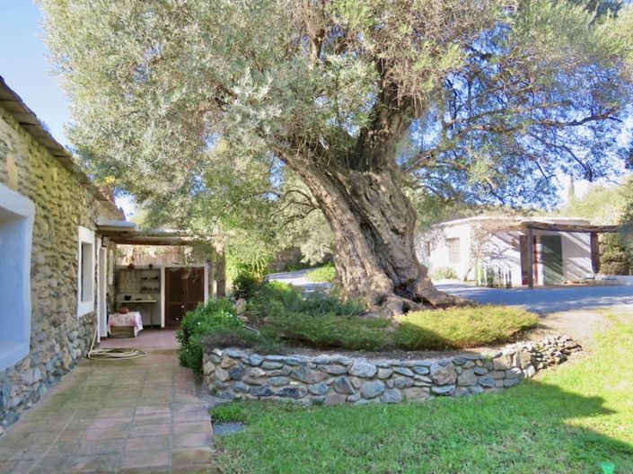 Image No.10-Propriété de 4 chambres à vendre à Orgiva