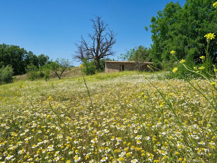 Image No.39-8 Bed Property for sale