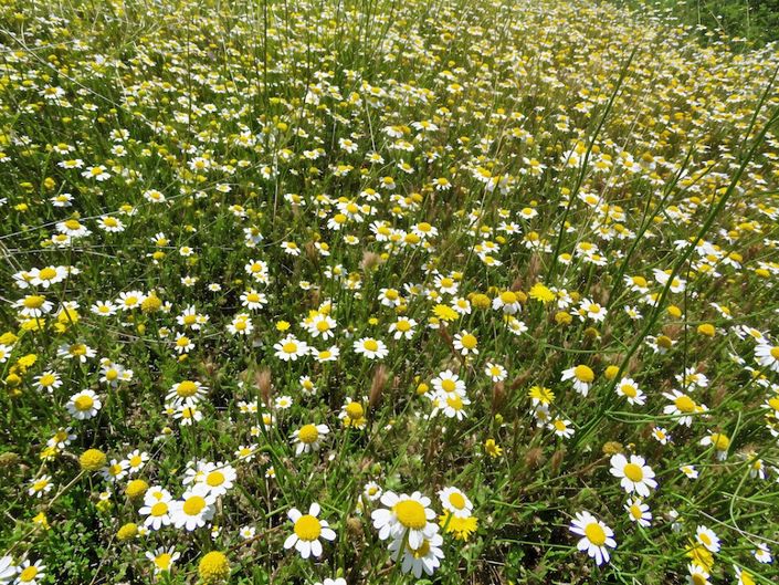 Image No.43-8 Bed Property for sale