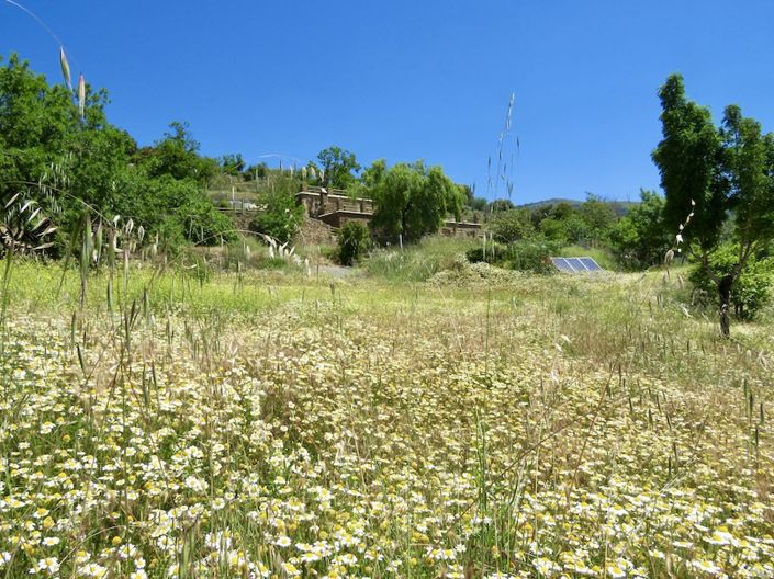 Image No.47-8 Bed Property for sale