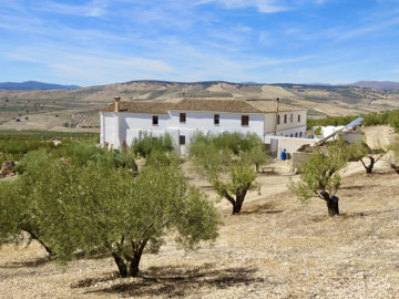 3981img6886