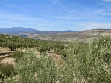 3981img6845