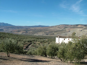 398dscf00891
