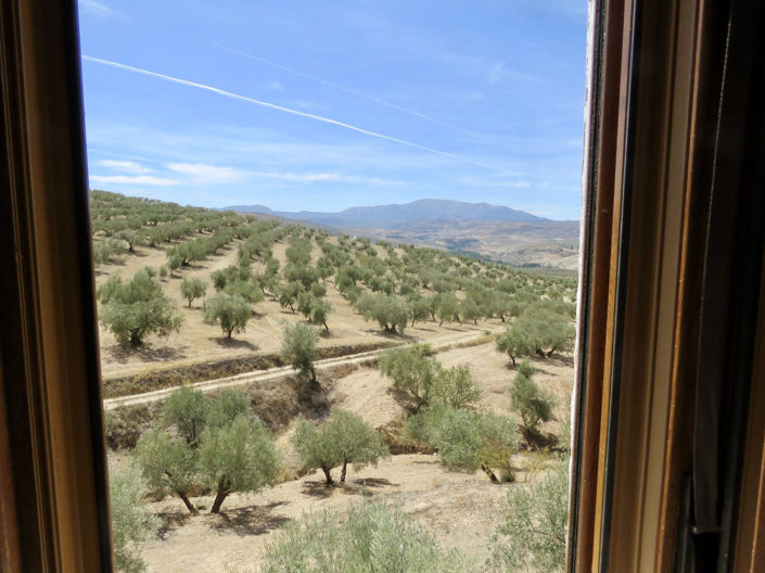 Image No.48-5 Bed Property for sale