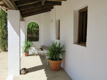 3981img6847